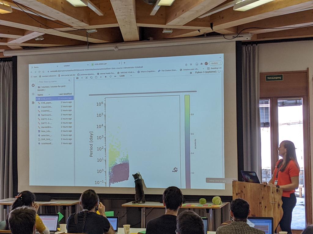 Picture of me (Floor Broekgaarden) teaching a demo on using COMPAS data in Saas-Fee. The figure shows the beamer screen with some data points as well as a cat that is looking at the screen